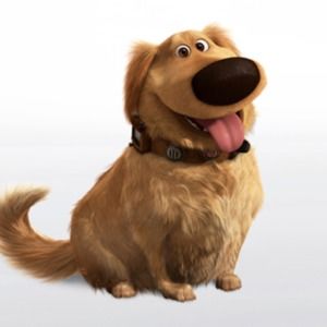 Meet your Posher, Zoe